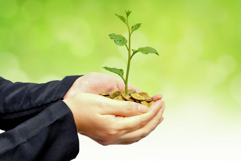 Business person holding plant for CSR idea
